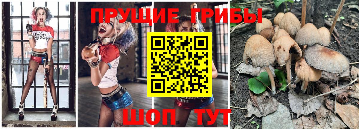 Галлюциногенные грибы Psilocybe  Вход с VPN  Севастополь 