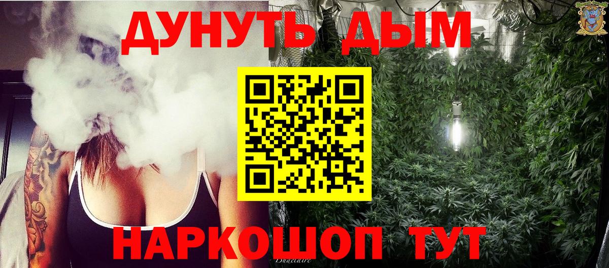 Бошки Шишки AK-47  Вход с VPN  Севастополь  Шишки марихуана MAZAR  Конопля сатива 